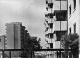 1964 - Concorso appalto per l'Istituto Case Popolari a Spinaceto in Roma,.
